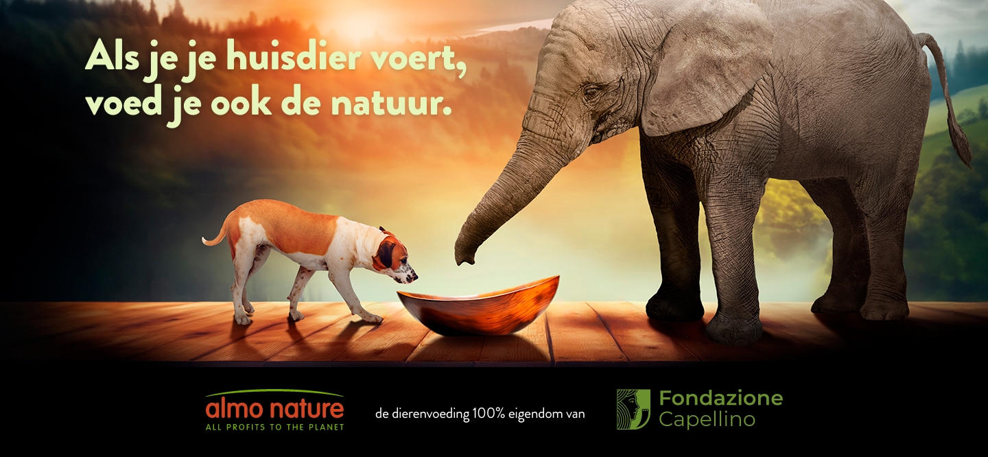 img1_head_sliderhome_desktop_nl_2