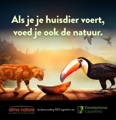img3_head_slider_mobile_nl2
