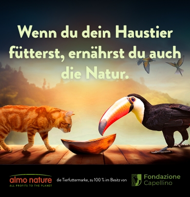 img3_head_slider_mobile_de2
