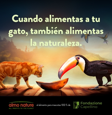 img3_head_slider_mobile_es2