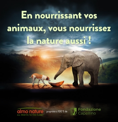 img1_head_slider_mobile_fr2