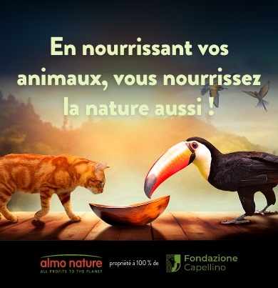 img3_head_slider_mobile_fr2